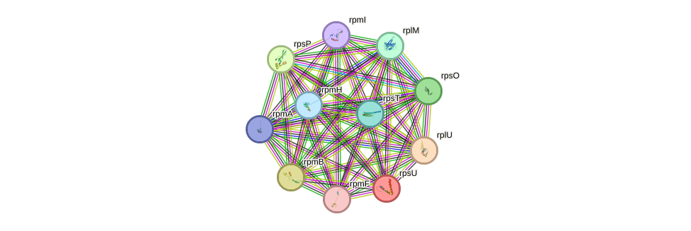 WHAT ARE PROTEINS
